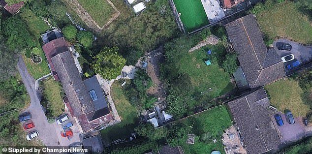 There is now a clearing in place of the border, after the 33-foot trees were chopped down