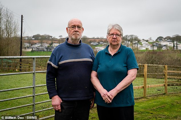 Lorraine Harvey, 69, who has lived in the area with her husband Jeff, 71, said the caravans appeared suddenly and dramatically altered the landscape
