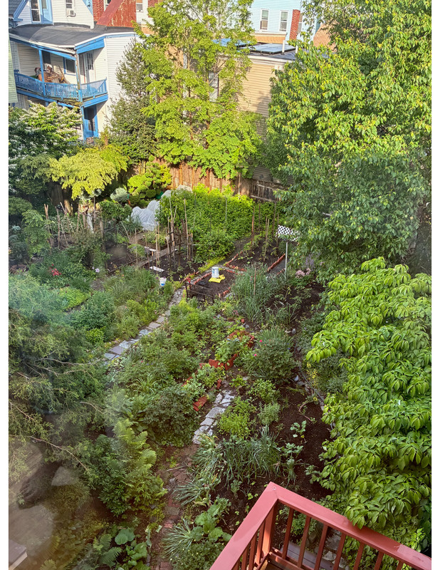 11277 garden %281%29