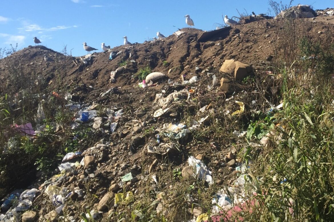 Sault trashes proposal to privatize city landfill, composting