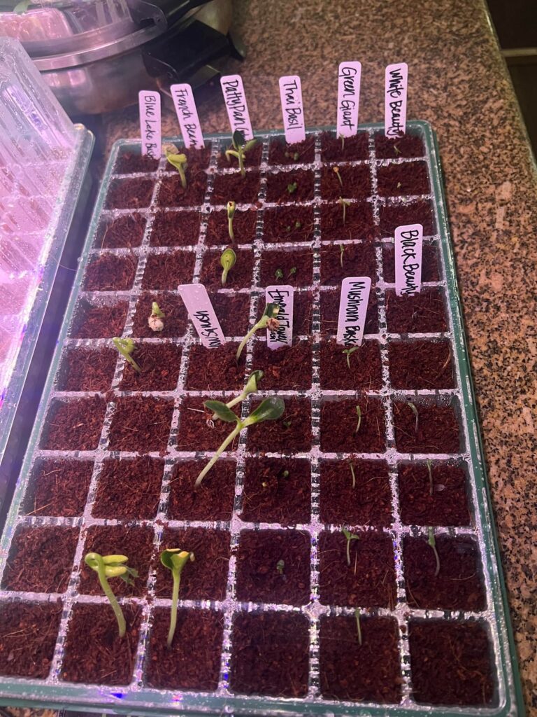 First time doing seed starts and…