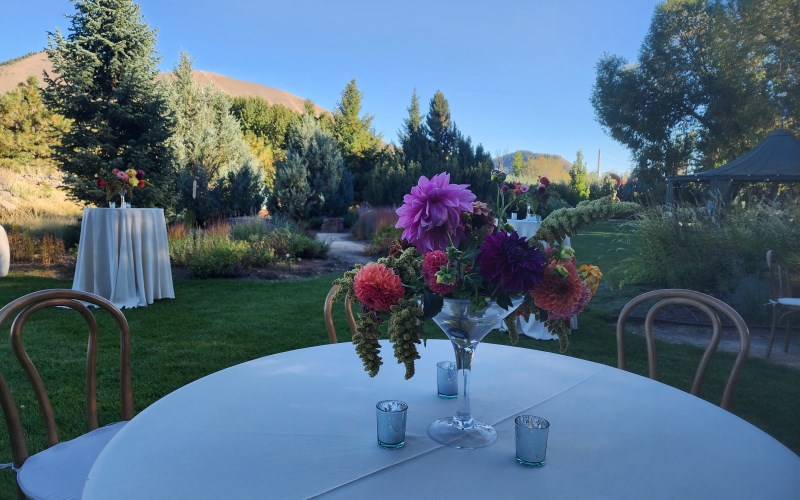 Sawtooth Botanical Garden Seeks Matching Donations to Purchase the Dirt Sawtooth Botanical Garden Seeks Matching Donations to Purchase the Dirt