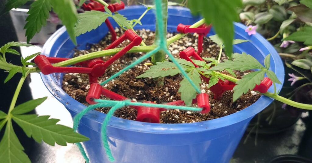 I designed a simple LST stake instead of using clips