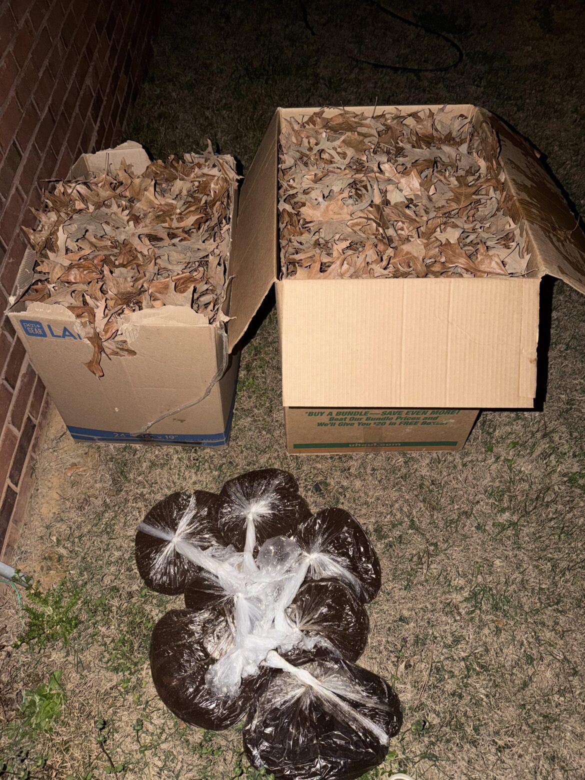 Be to be nice to your neighbors