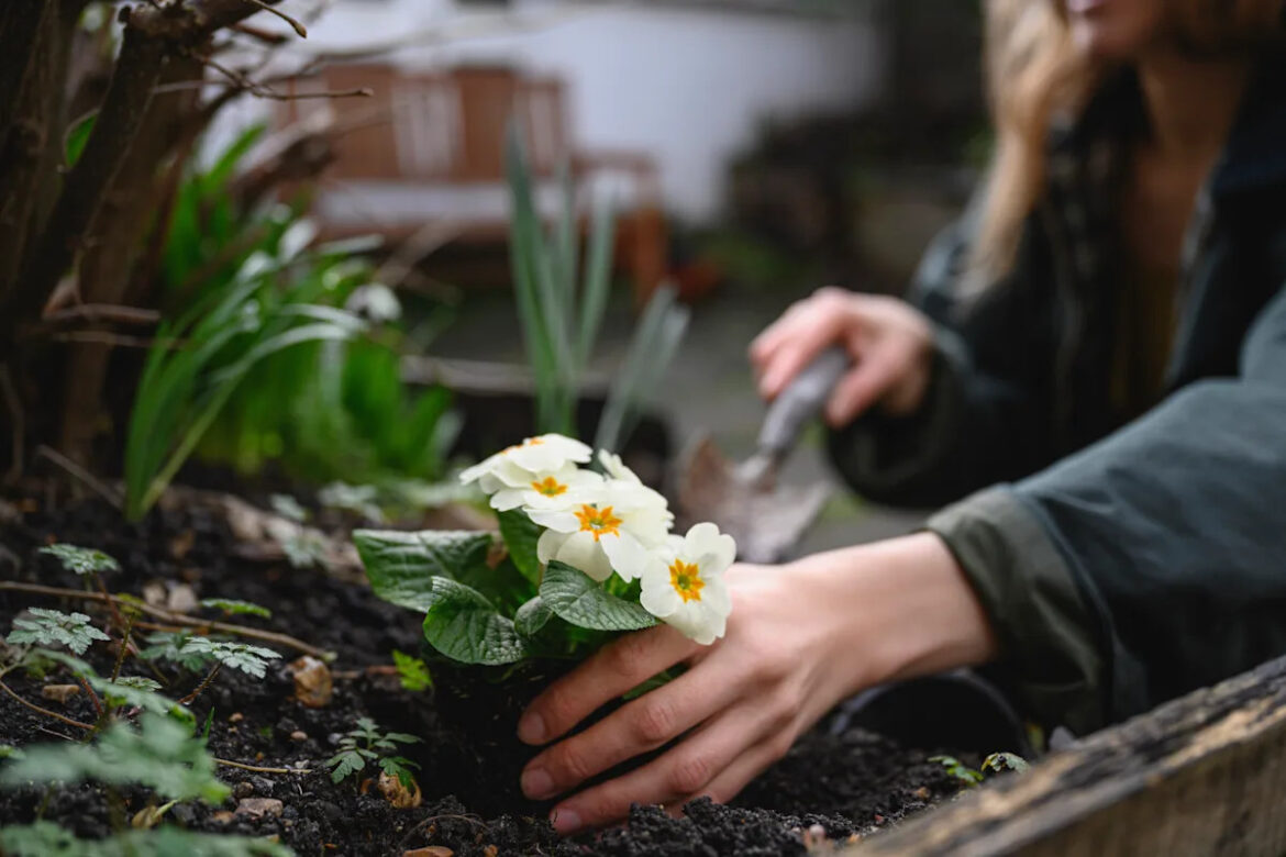 The one thing most gardeners forget until it's too late
