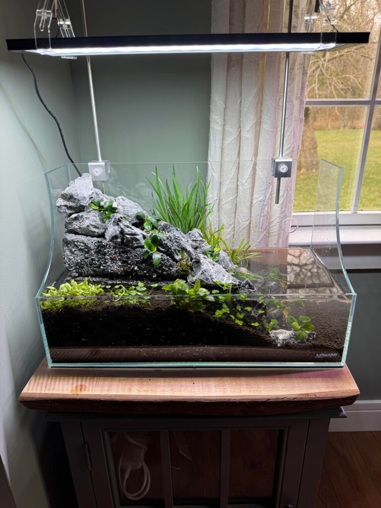 Waterfall/stream paludarium
