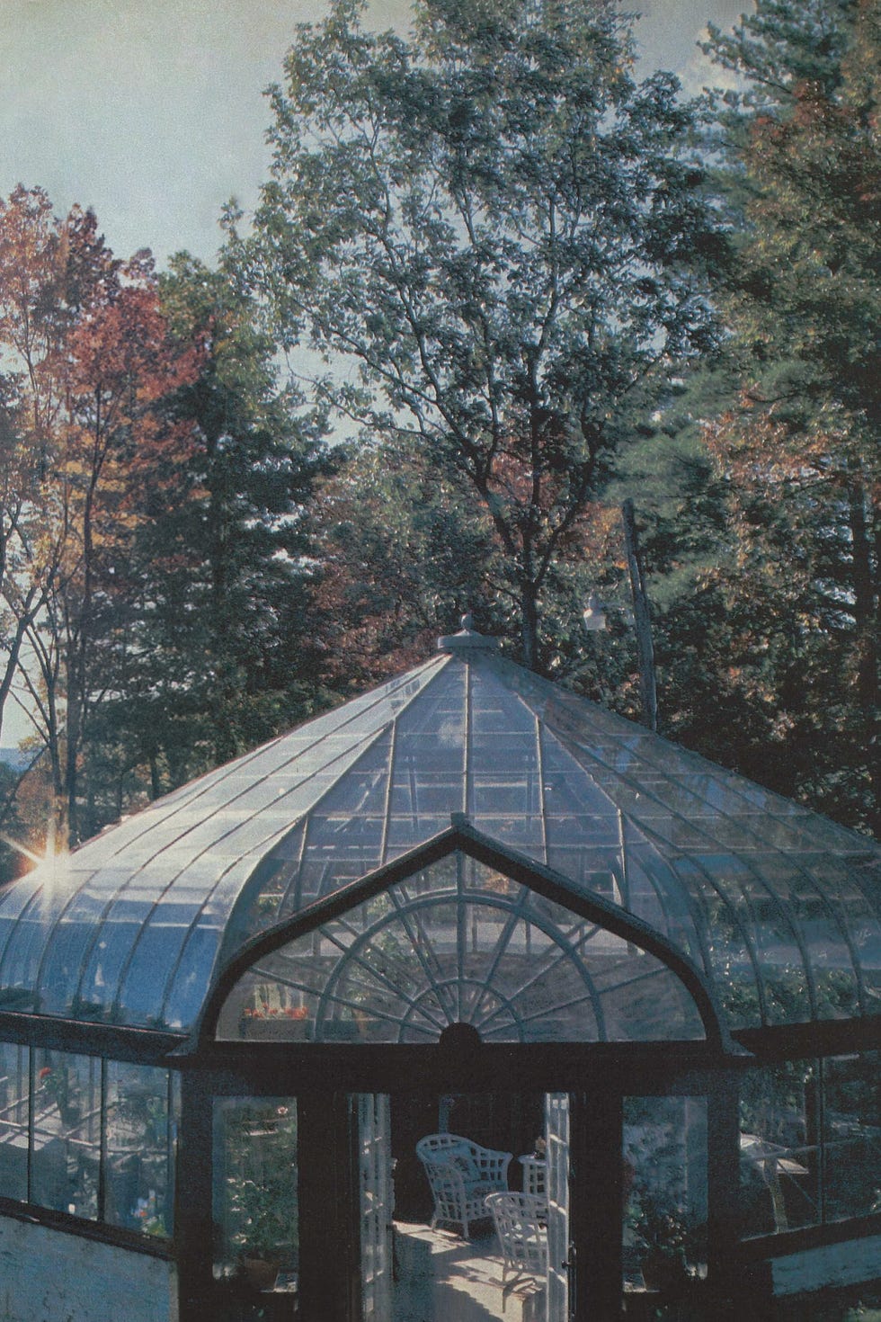 glass greenhouse beside a river