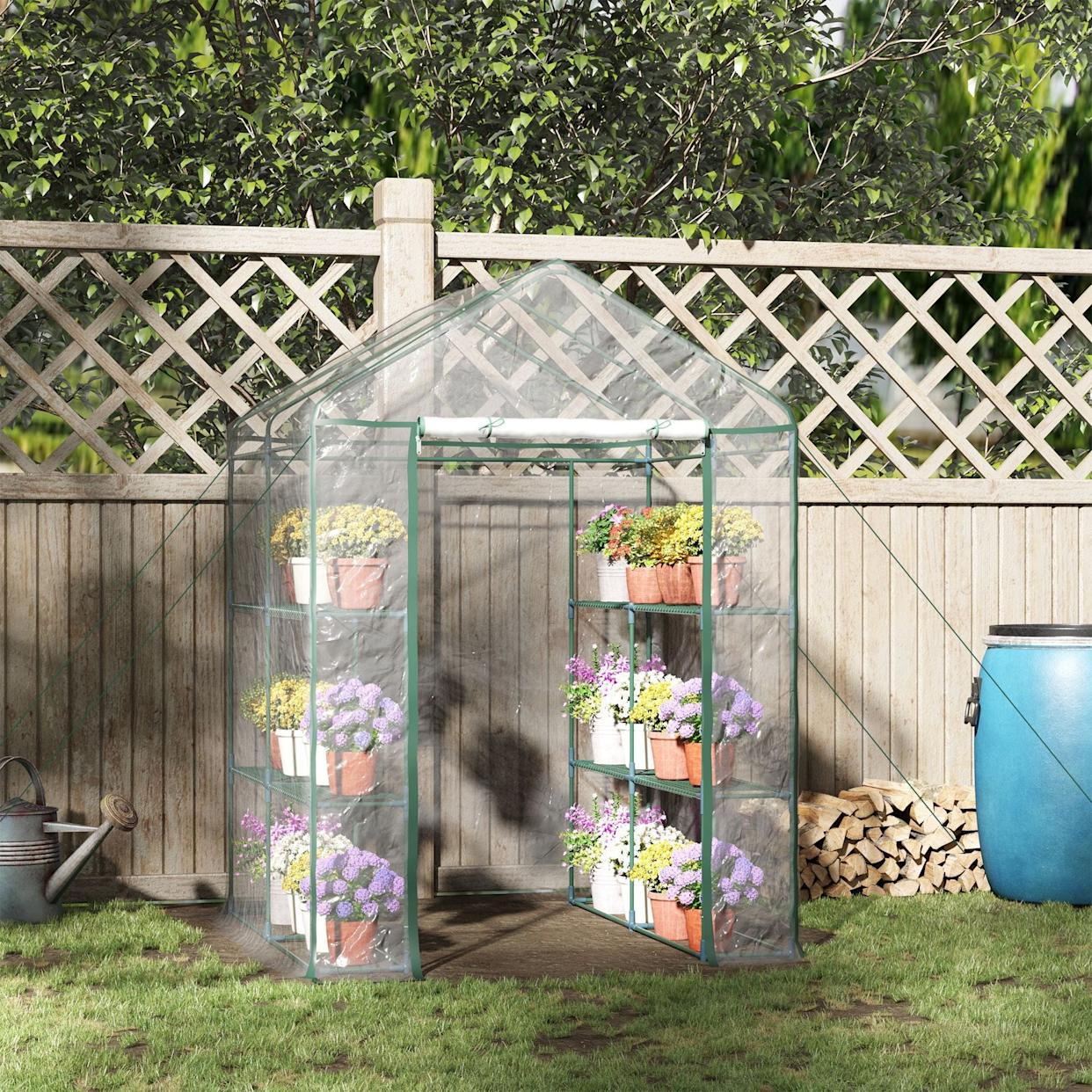 How to Start Greenhouse Gardening