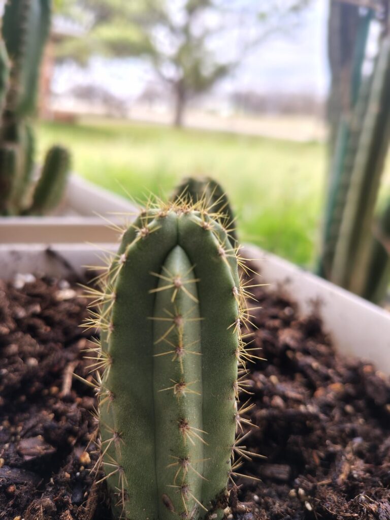 Can you help me identify these?