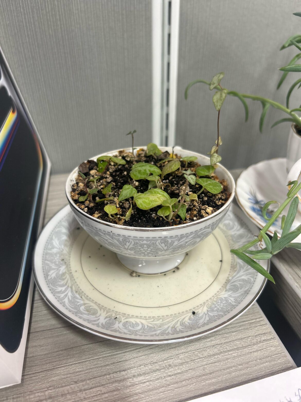 Help, ahh I am colorblind.