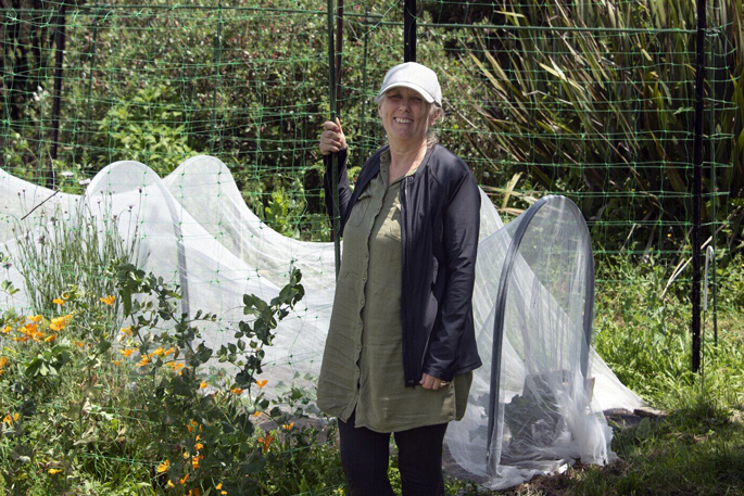 SunLive – Vegan turns 1.2ha block into market garden SunLive - Vegan turns 1.2ha block into market garden