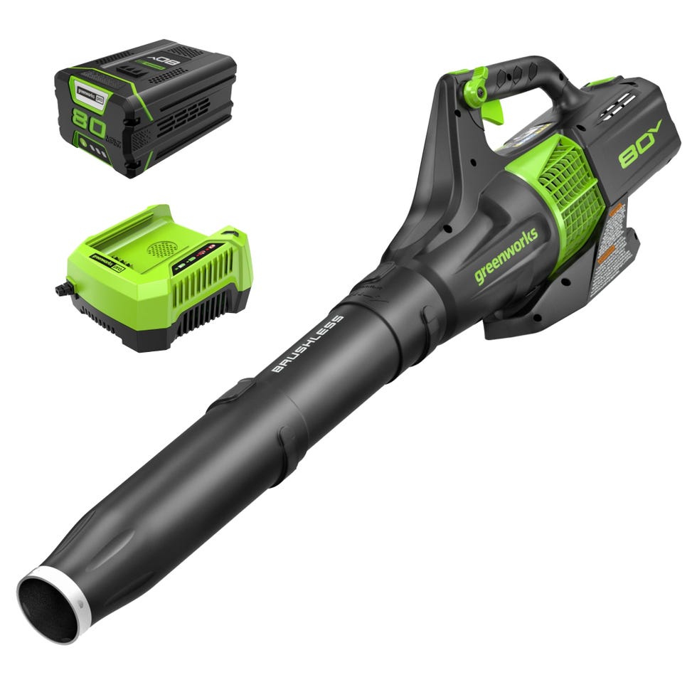 80V Cordless Leaf Blower