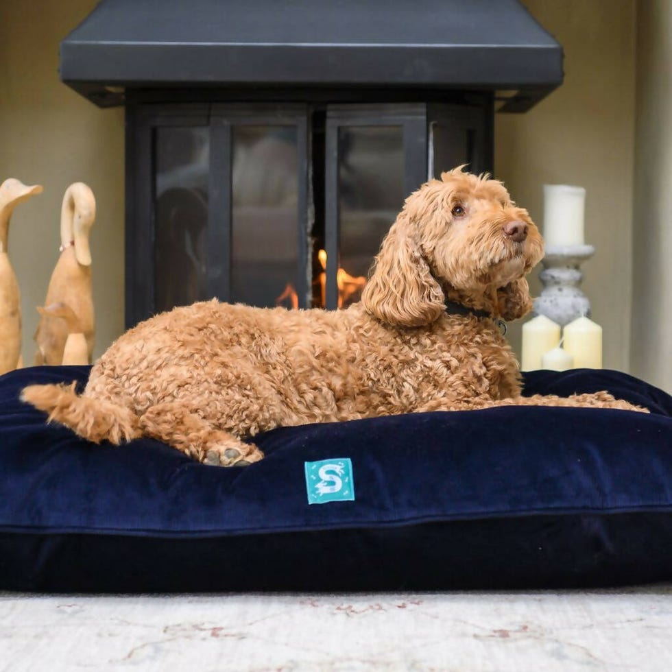 Corduroy Dog Bed - Navy