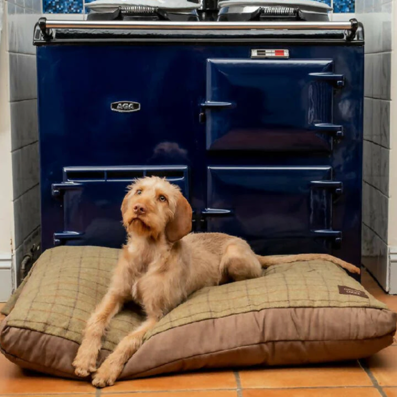 Large Tweed Dog Bed In Olive