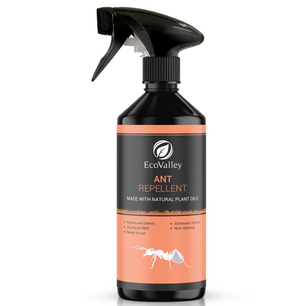 Natural Ant Repellent Spray 500ml