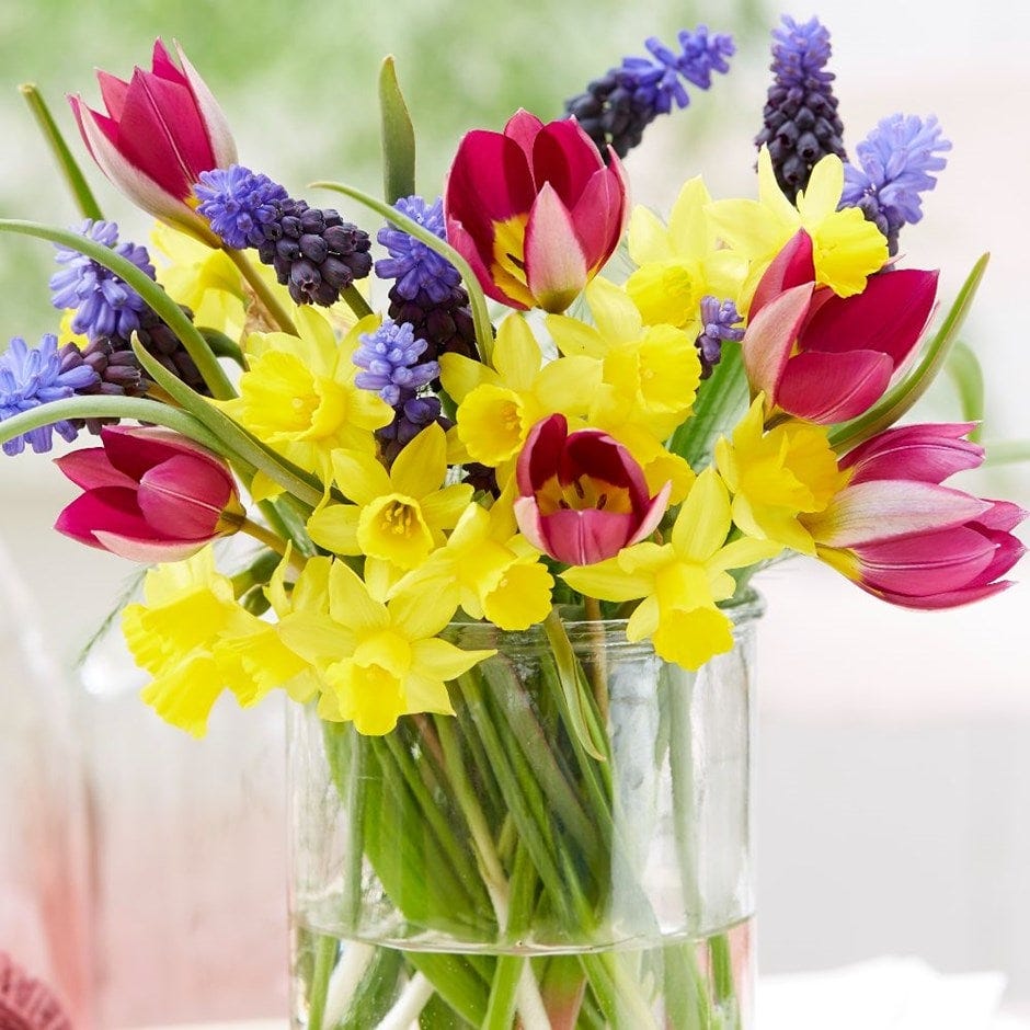 Spring bouquet bulb collection