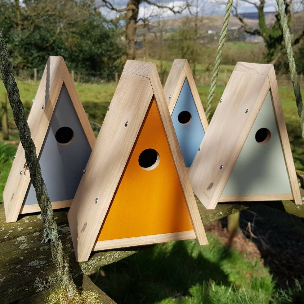 Painted Oak Bird Box Painted Oak Bird Box