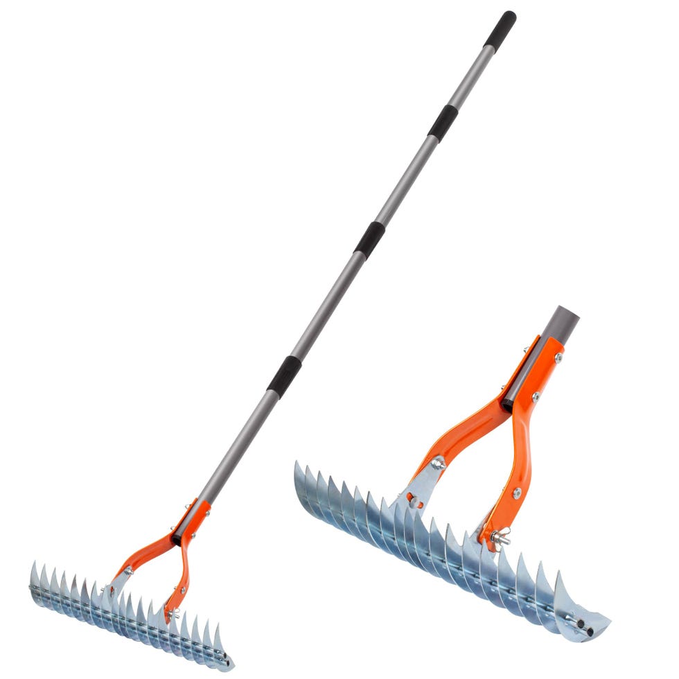 Thatch Rake