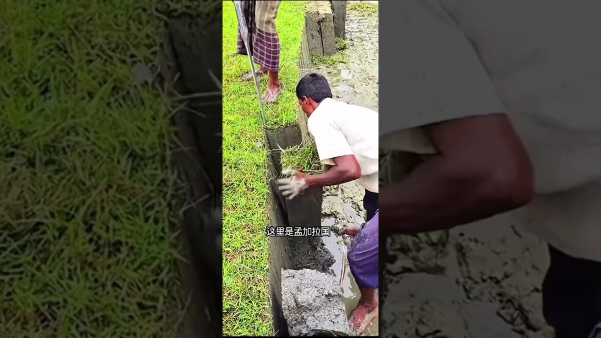 Month-by-Month Vegetable Gardening Guide