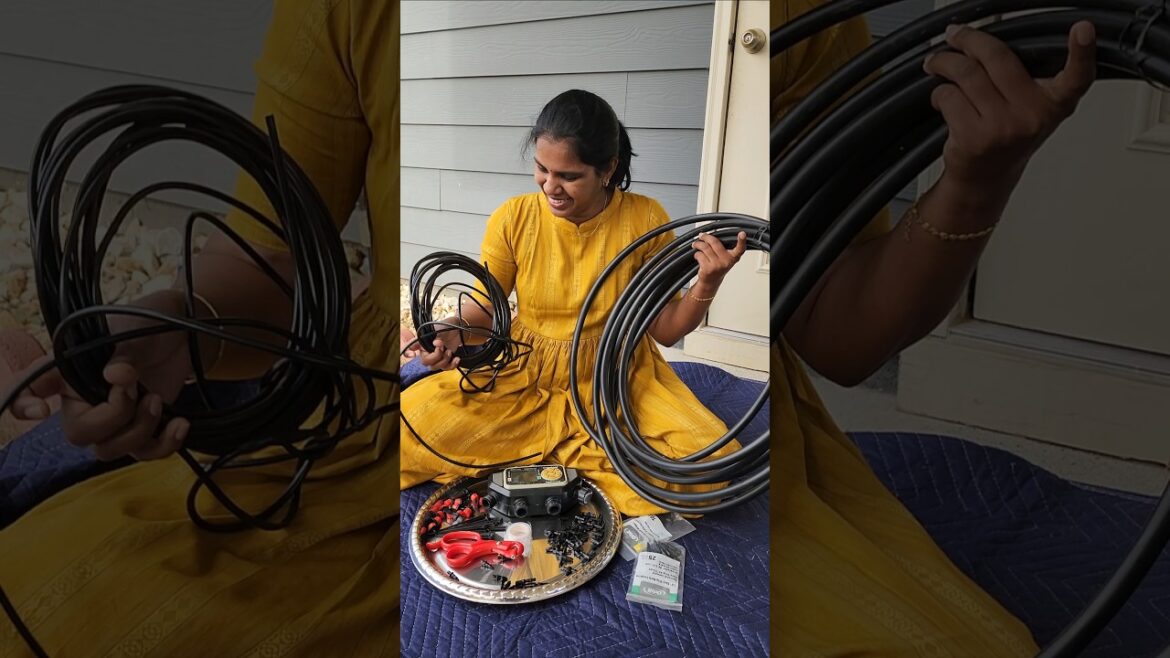 ✨️USA Vlog 268 | இப்படிகூட பண்ணலாமா? DIY Drip Irrigation Setup for Garden bed #shorts #save #water