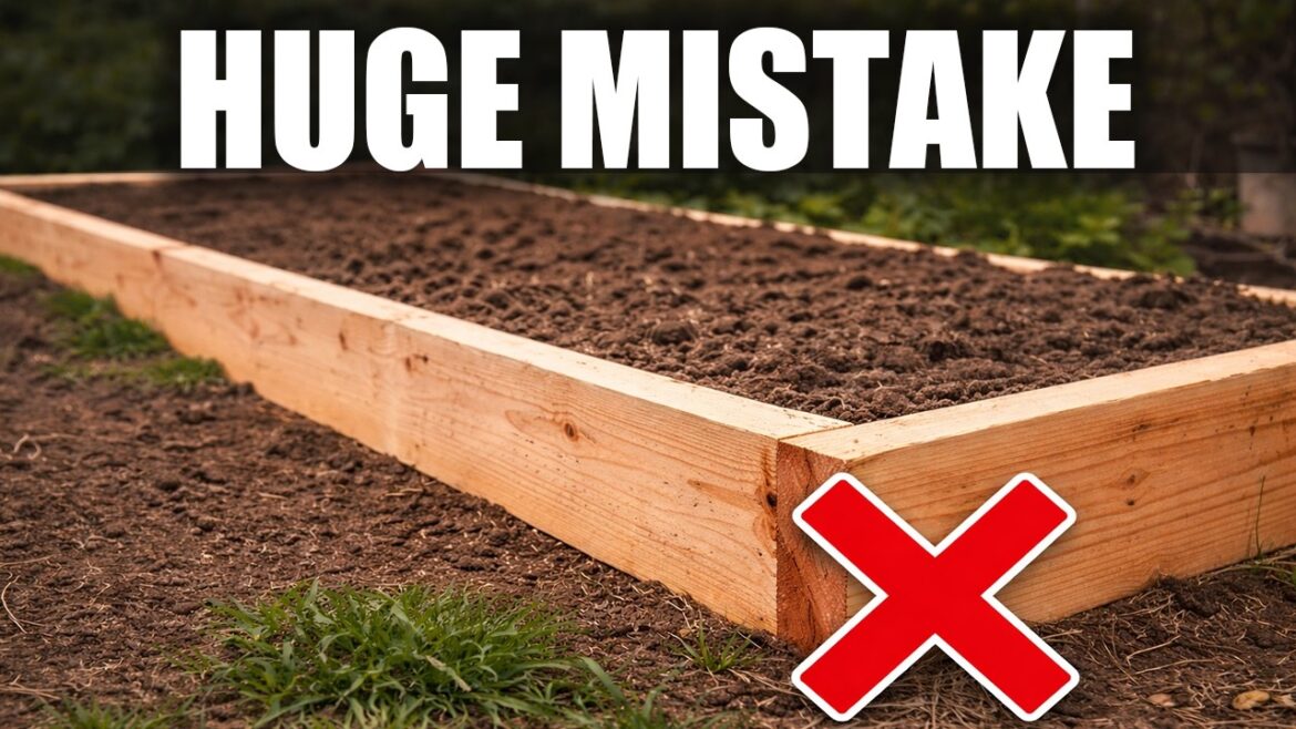California Garden TV: I Built My Raised Beds Wrong — Don’t Do This! I Built My Raised Beds Wrong — Don’t Do This!