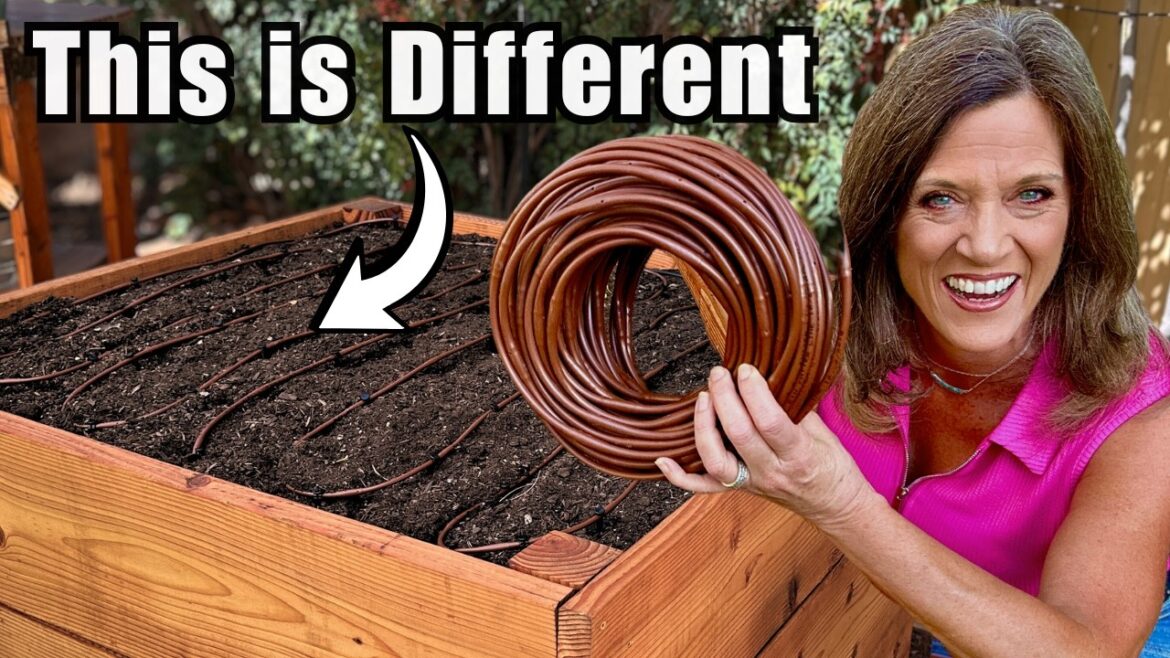 Before You Plant a Raised Bed, Do THIS First