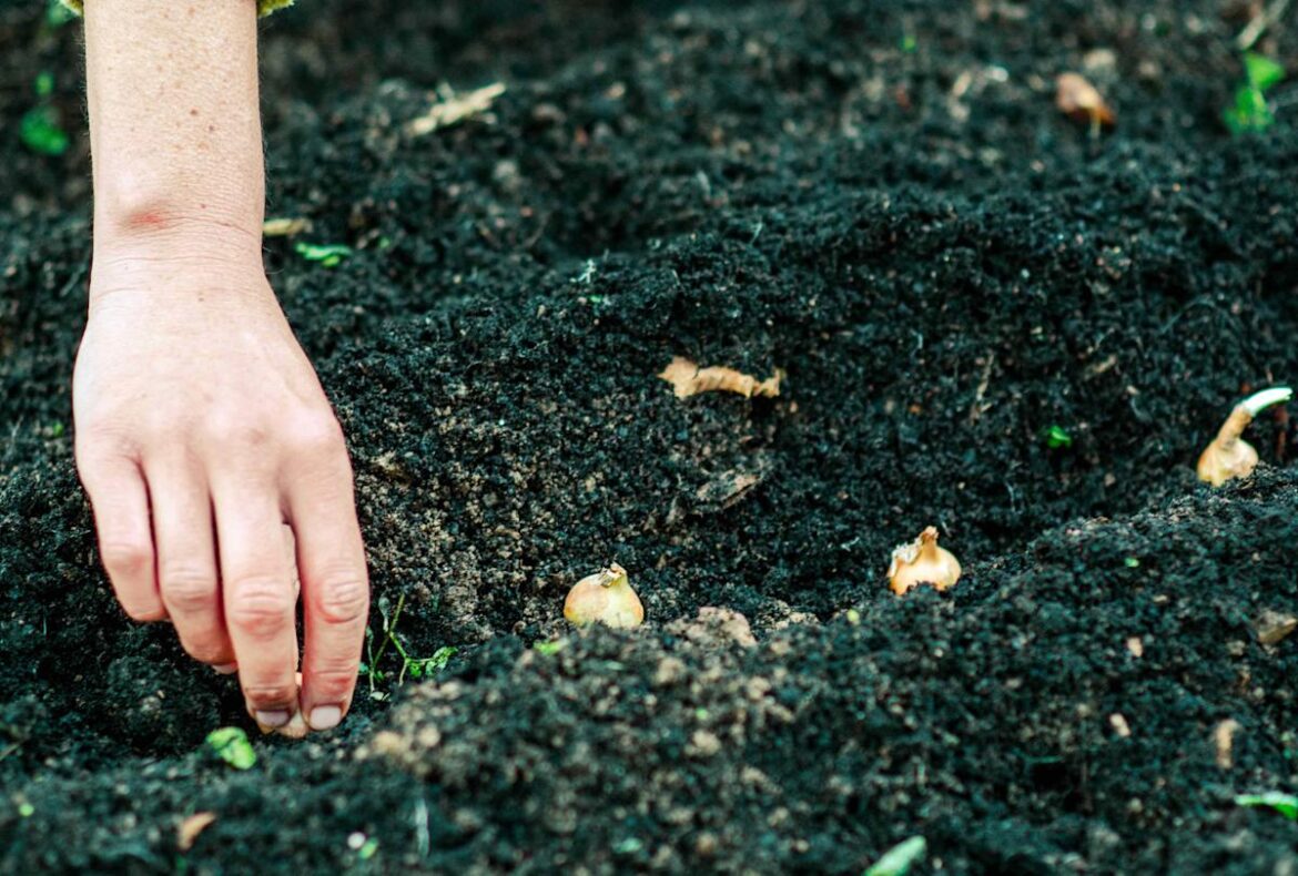 What to Do in Your Garden in March for a Strong Spring Start Better Homes & Gardens