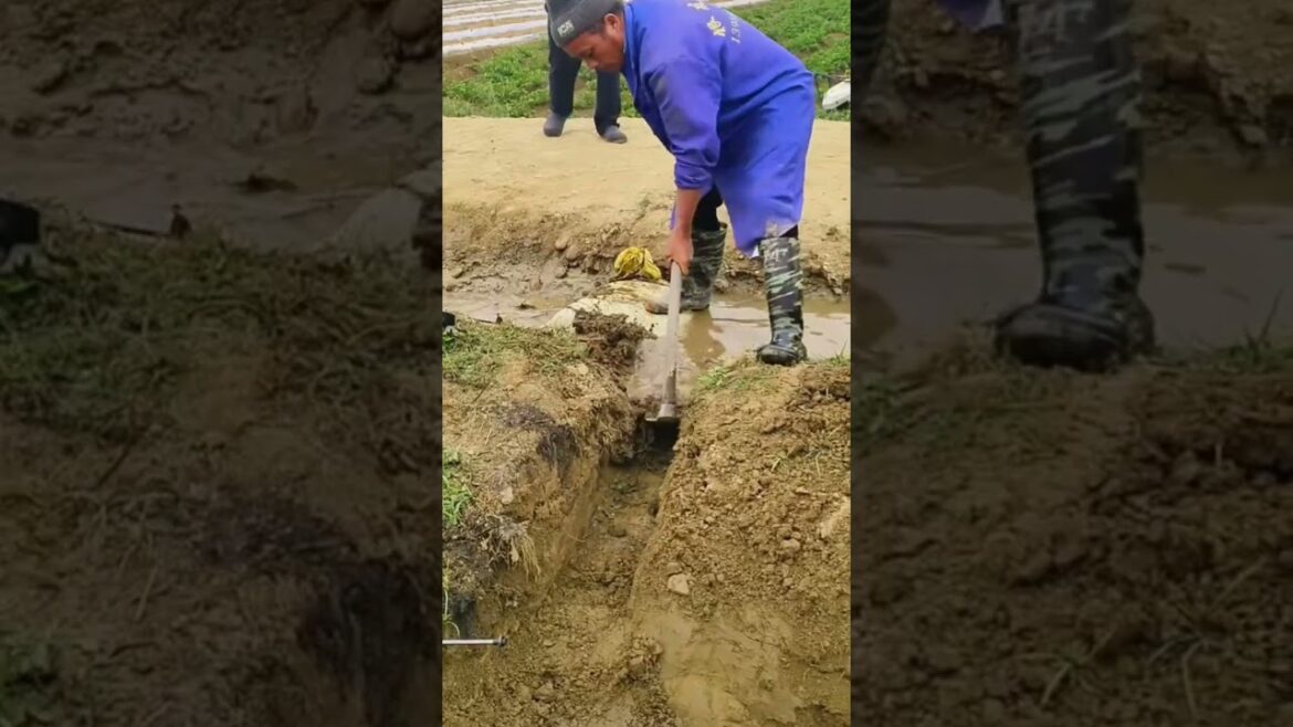 Month-by-Month Vegetable Gardening Guide Month-by-Month Vegetable Gardening Guide