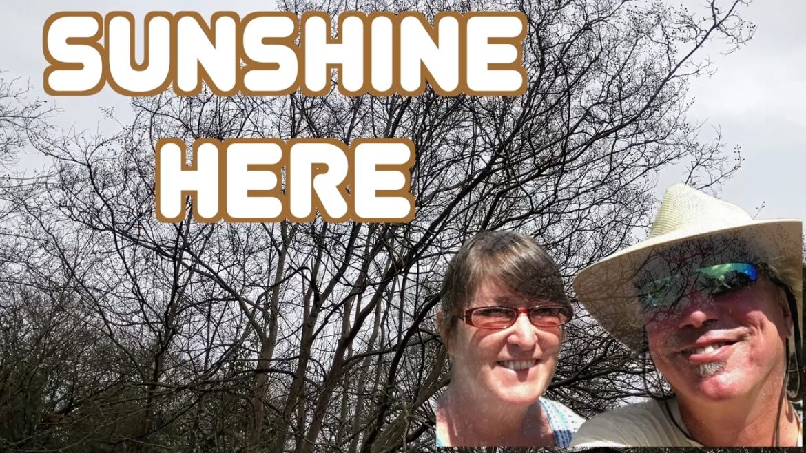 How Sunshine Affects My Mood February Garden Tour How Sunshine Affects My Mood February Garden Tour
