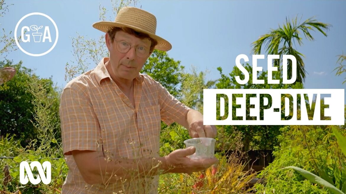 Secrets for Success with Seeds | Growing Fruit and Vegies | Gardening Australia Secrets for Success with Seeds | Growing Fruit and Vegies | Gardening Australia