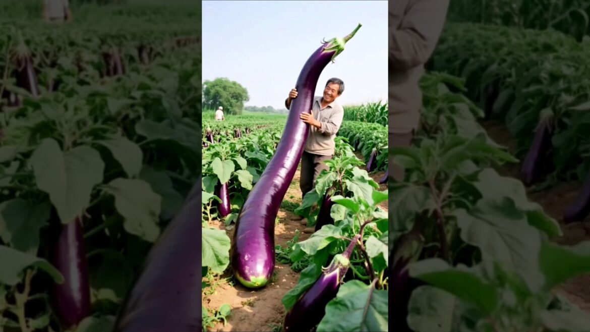 Seasonal Most Lovely  Juicy Fruits and Healthy💪Vegetables 🍆🥦🥒🫑😋🍑🍒🍌🍓#fruit #shorts #trending #viral