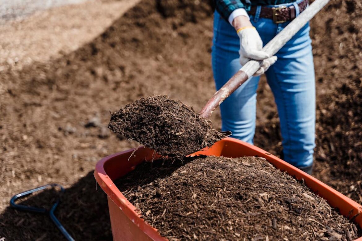 The $20 Soil Fix That Can Rescue a Struggling Spring Garden