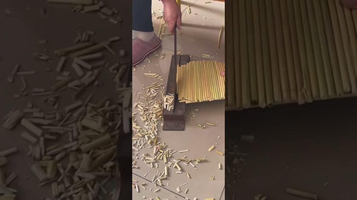 Year-Round Vegetable Gardening: Monthly Tips & Tricks