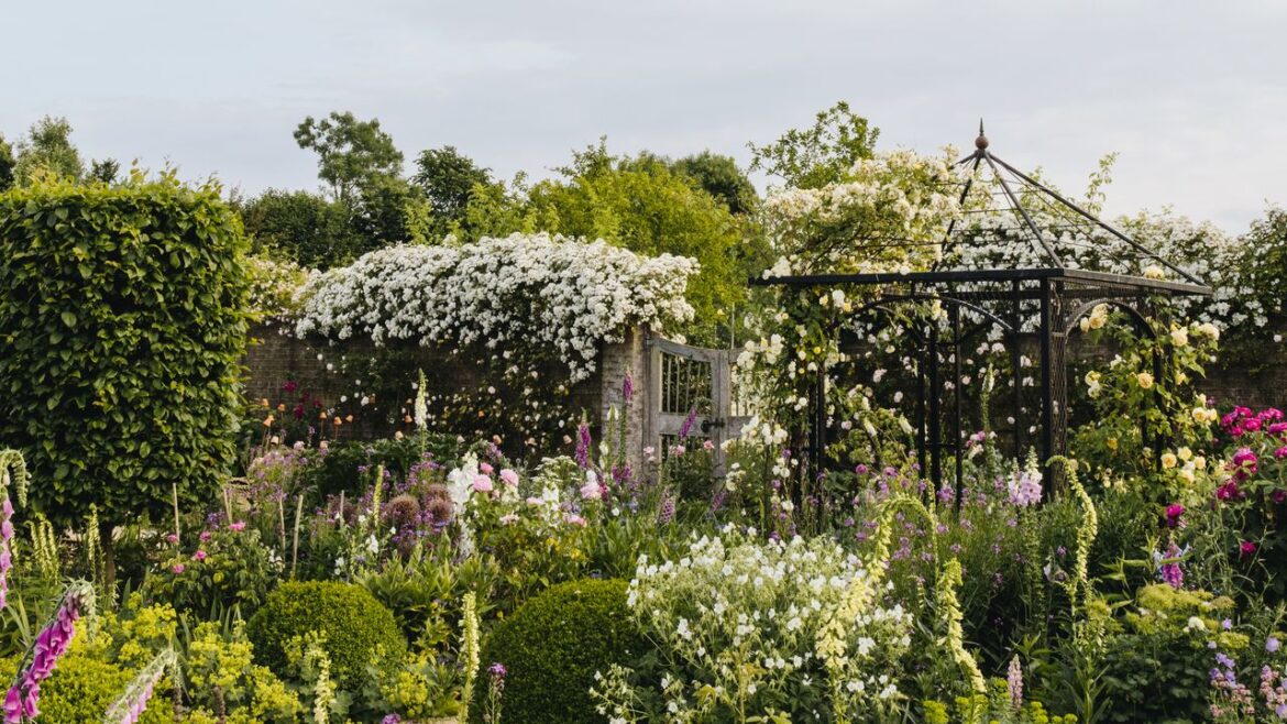 The 13 garden design apps you need to know