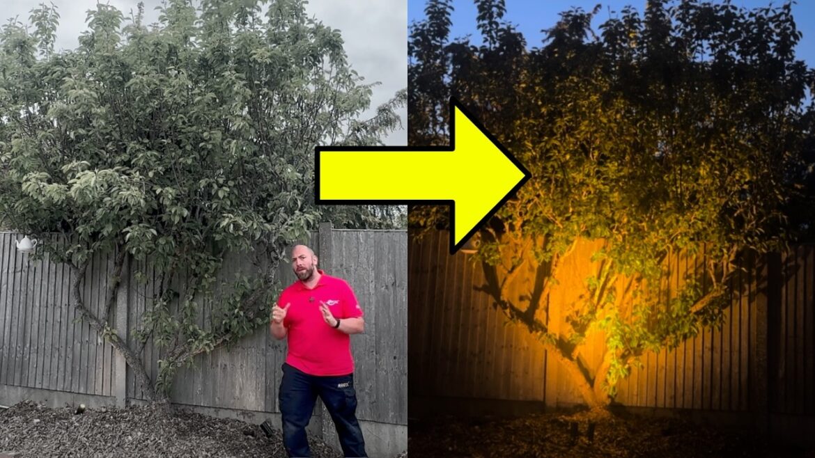 Garden Lighting: 6 Ideas That Deliver! Garden Lighting: 6 Ideas That Deliver!