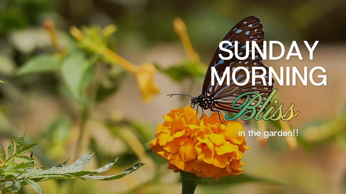 Sunday Morning In The Garden!