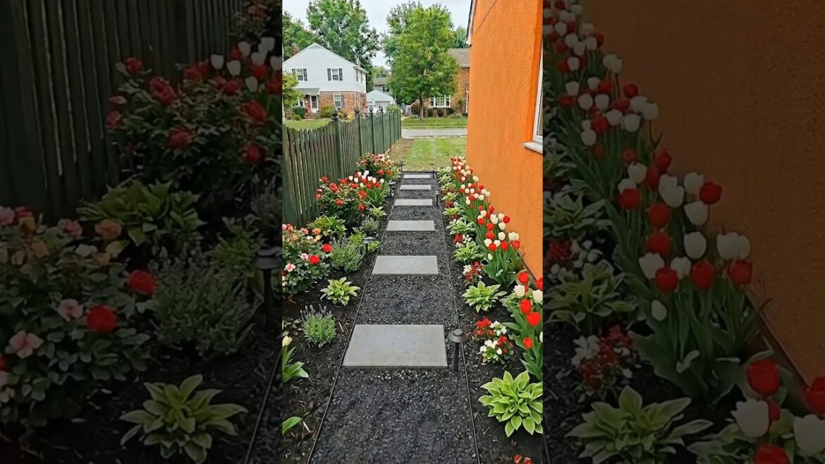 $500 Backyard vs $50,000 Backyard Transformation