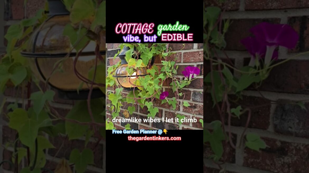 Taking thriller 2 next level!