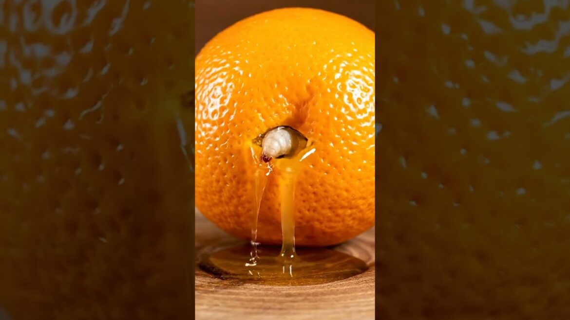 #shortvideo #shortvideo