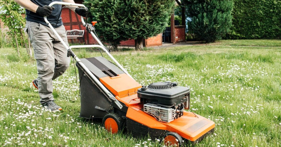 Expert urges gardeners to check lawnmowers before spring with simple £2 fix Devon Live