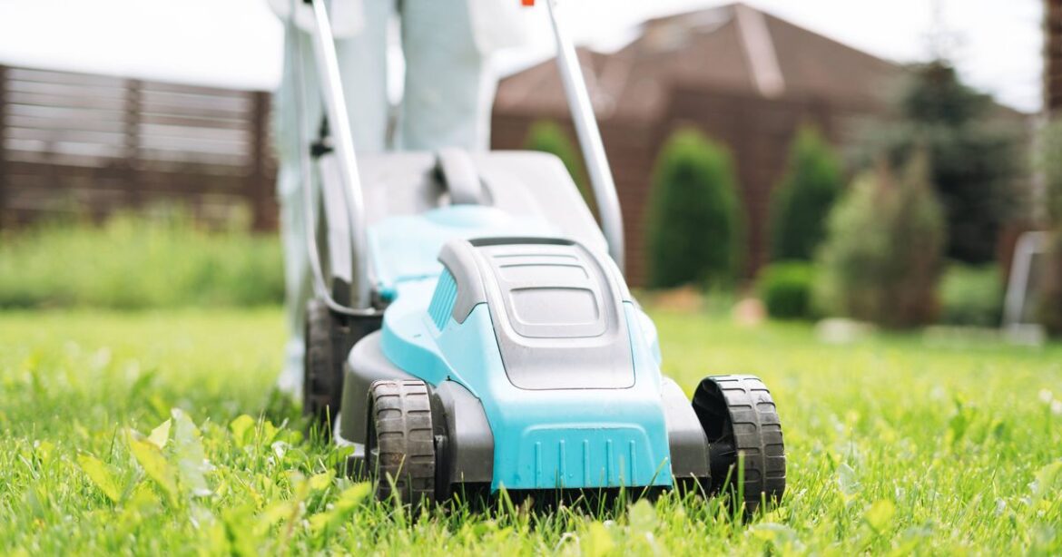 Anyone who owns a lawnmower urged to check it now before spring arrives Daily Mirror