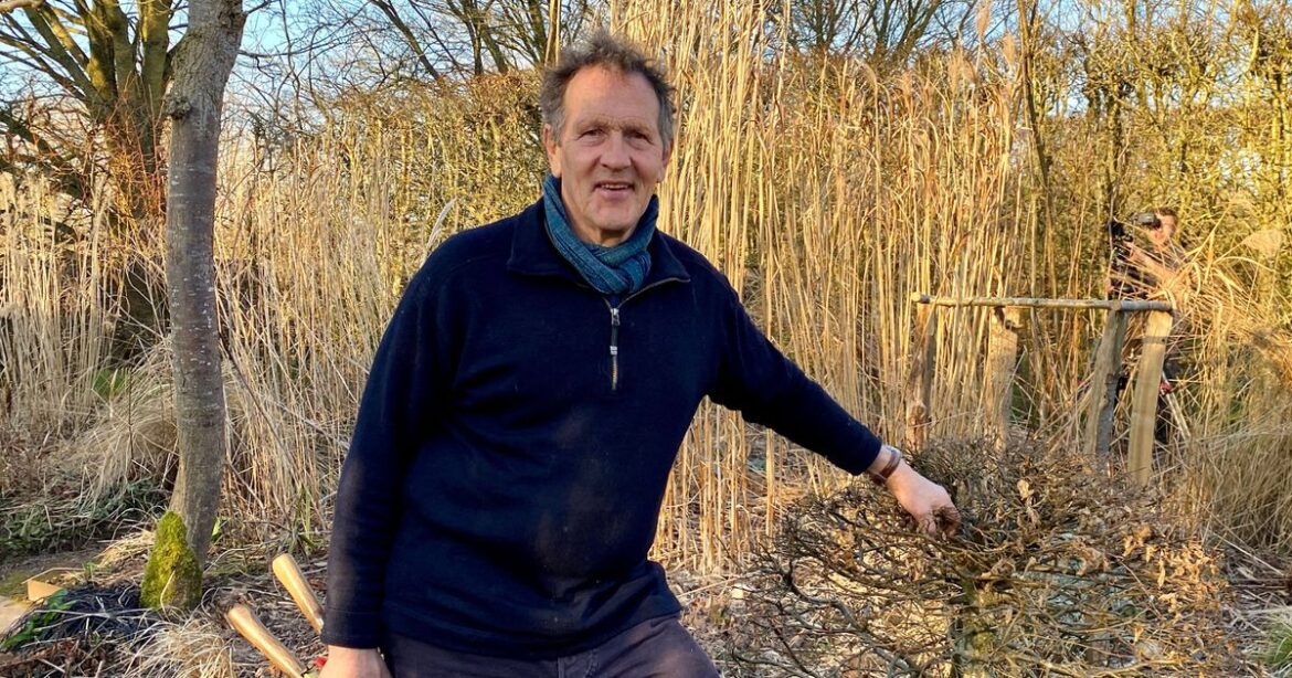 Gardeners’ World’s Monty Don names ‘most reliable’ daffodil for spring gardens Daily Mirror