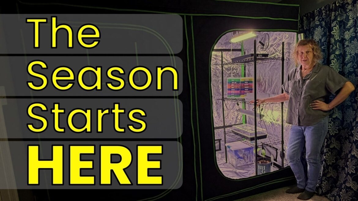 Building This Year’s Garden: Grow Tent Setup & Seed Selection