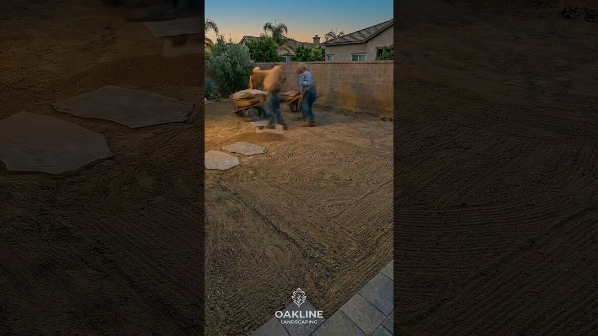 Neglected Yard Restored to a Clean Garden | Timelapse