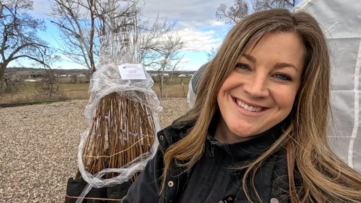 Garden Answer: Birch Tree Delivery, Lots of Garden Cleanup & Renovation Update (A Wall Was Moved)! ๐ณ๐พ๐ Birch Tree Delivery, Lots of Garden Cleanup & Renovation Update (A Wall Was Moved)! ๐ณ๐พ๐