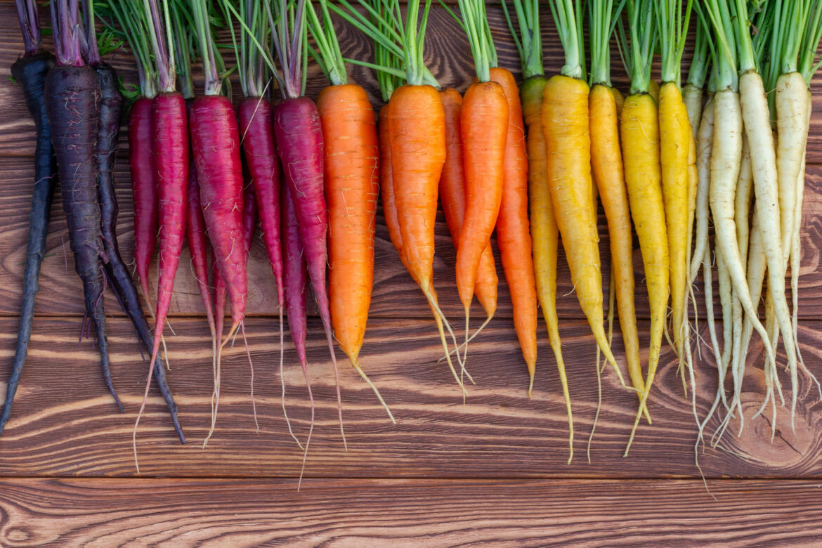 March tips for your Peninsula garden: Soil prep, frost damage and growing carrots in heavy clay March tips for your Peninsula garden: Soil prep, frost damage and growing carrots in heavy clay