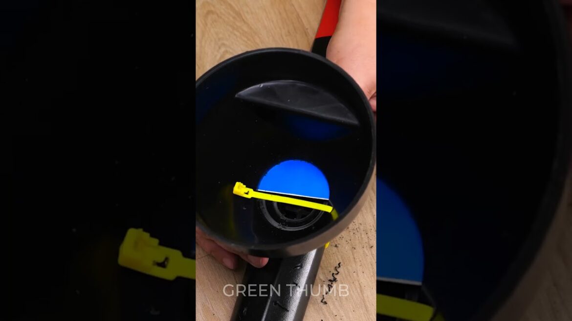 Grow Your Dream Lush Lawn with Simple Steps!