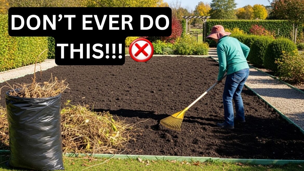 "5 Gardening Mistakes Killing Your Soil (Proven Fixes from History)".