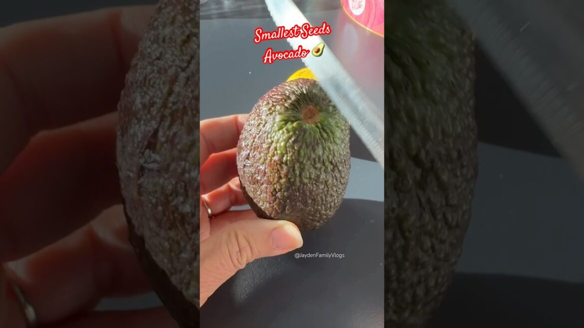 Fruit Cutting Avocado 😱😱 #shorts #satisfying #fruit #enjoy