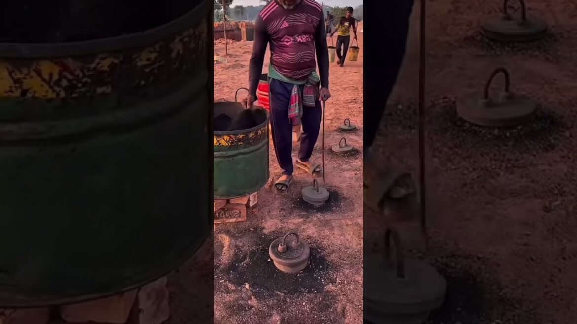 Year-Round Vegetable Gardening: Month-by-Month Guide